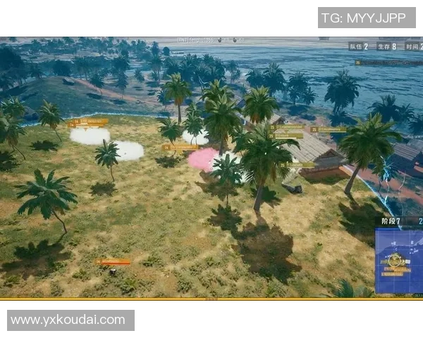 天命圈与推边队的战术较量揭示绝地求生的生存智慧与策略深度